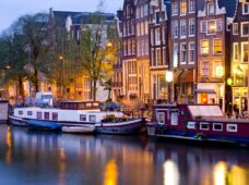 ГОЛЛАНДИЯ НА ВСЕ ВКУСЫ