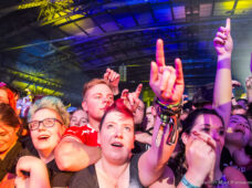 „Laune der Natour“: Die Toten Hosen rocken Leipzig