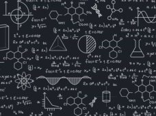 Paleontologists Discover First North American