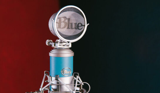 labore et dolore magna aliqua the enim