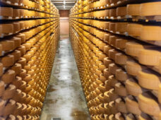 Сыр и шоколад: вкусная Швейцария