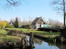 Шпреевальд 30.05.2020 поездом