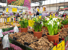 Все о саде и сельском хозяйстве на Лейпцигской ярмарке