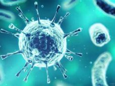 Новое решение по коронавирусу: в Саксонии откроются музеи, зоопарки и спортплощадки