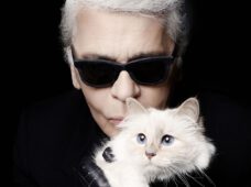 Карл Лагерфельд: «Секрет успеха – заниматься любимым делом»