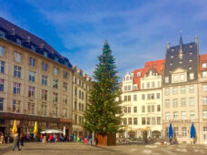 Der einsame Tannenbaum