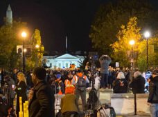 Die Demokratie ist ein zartes Pflänzchen