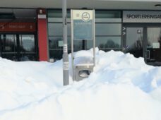 „Flockdown im Lockdown“