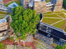 Лейпциг награждает зеленые крыши