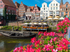 Люнебургская пустошь: лиловое великолепие