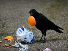 Субботник 18 сентября