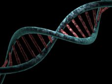 Скрининг новорожденных расширен: серповидно-клеточная болезнь и спинальная мышечная атрофия также подлежат проверке