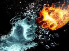 «Hängt die Grünen»— aгитационная борьба в разгаре