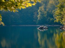 Новый кемпинг у озера в 10 гектаров. Местные жители против