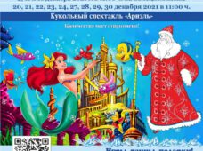Новогоднее представление с кукольным спектаклем «Ариэль»