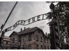 Арест за нацистский жест