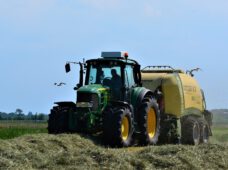 Полиция ищет свидетелей