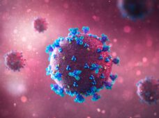 Действующие правила — Коронавирус