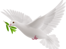 Информация для беженцев с Украины