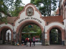 Зоопарк Лейпцига вітає українців