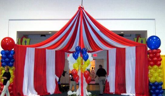 Відвідування цирку безкоштовно