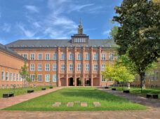 Sommer im Grassimuseum