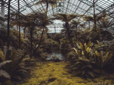 130 років ботанічному саду