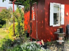 Дитяче та літнє свято до Дня саду