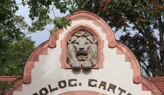 Святкове літо в Лейпцизькому зоопарку з динозаврами, казками та тваринами міських джунглів