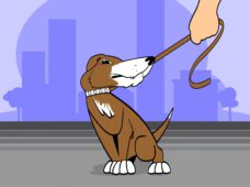 Обережно собака!