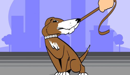 Обережно собака!