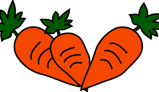 Морквяний зошит із порадами щодо захисту клімату