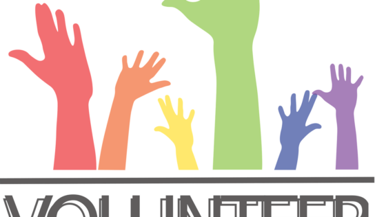 Волонтерство. Консультування