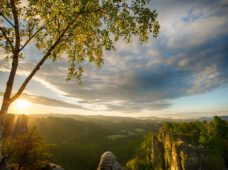 Лесные пожары в Саксонской Швейцарии