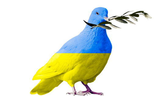 Демонстрація до Дня Незалежності