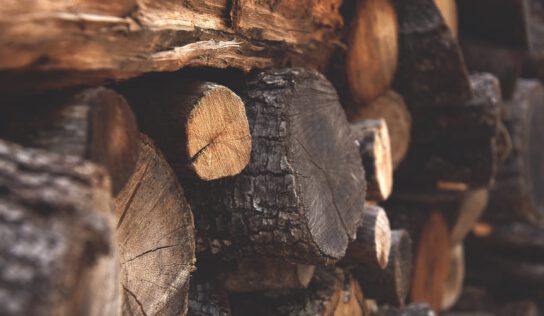 Онлайн-карта тепер показує вирубку дерев