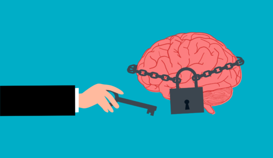 7 жовтня: бесіди з тренінговими компаніями