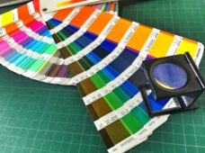 Модные цвета 2023: Pantone назвал 20 главных оттенков года