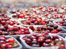 Щотижневі ринки йдуть на паузу