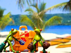 Искусство перевоплощения