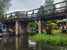 Поездка в Шпреевальд – немецкую Венецию 01.09.2024