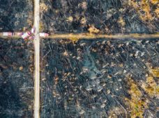 Rückblende — немецкая премия в области политической фотографии и карикатуры