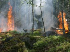 Waldbrand bei Jüterbog breitet sich aus