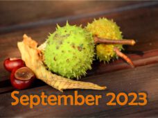 September 2023 – Was sich ändert