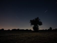 Perseiden-Sternschnuppen- Faszinierendes am Nachthimmel