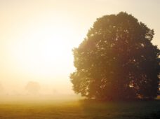 Sonniges Wochenende, dann kommen die Herbst-Vorboten
