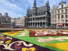 Ковер цветов в Брюсселе 16-18.08.2024