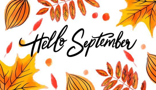 September 2024 – Was ist neu?