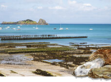 Канкаль — устричная столица Франции