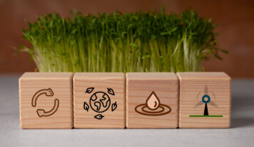 Erdüberlastungstag – Ressourcen für 2025 sind aufgebraucht